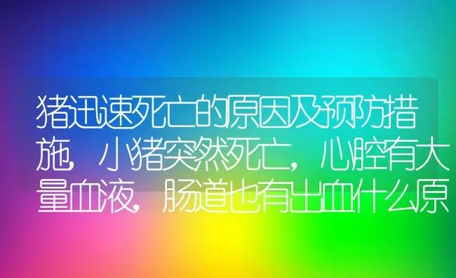 猪迅速死亡的原因及预防措施,小猪突然死亡，心腔有大量血液，肠道也有出血什么原因 | 养殖学堂