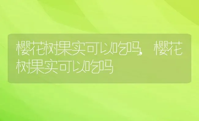 樱花树果实可以吃吗,樱花树果实可以吃吗 | 养殖科普