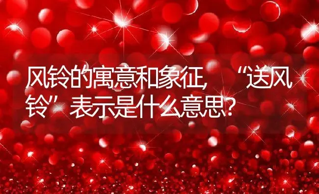 风铃的寓意和象征,“送风铃”表示是什么意思？ | 养殖科普