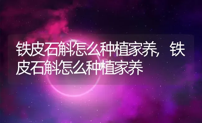 铁皮石斛怎么种植家养,铁皮石斛怎么种植家养 | 养殖科普