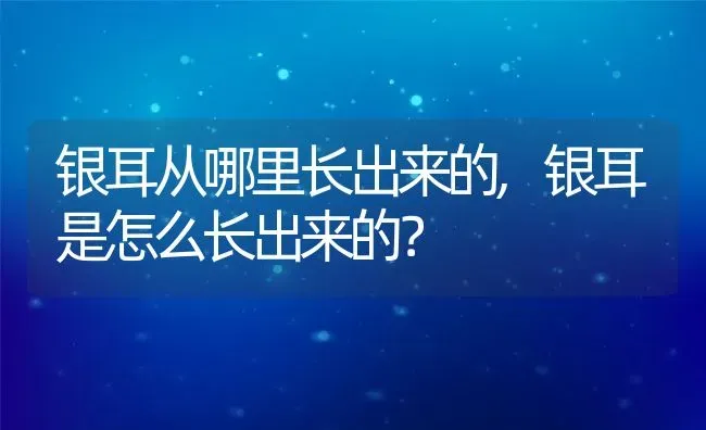 银耳从哪里长出来的,银耳是怎么长出来的？ | 养殖学堂