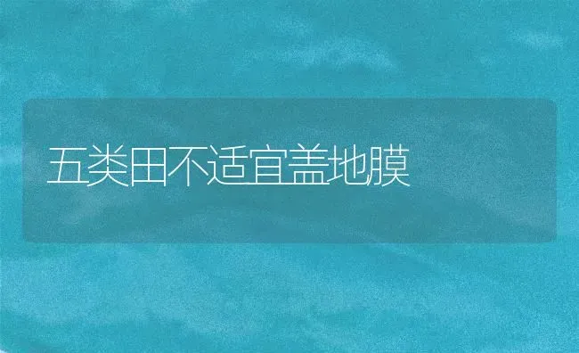 五类田不适宜盖地膜 | 养殖知识