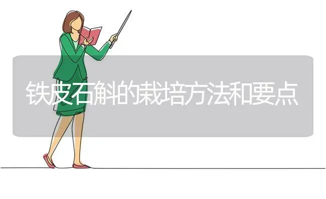 铁皮石斛的栽培方法和要点 | 养殖技术大全