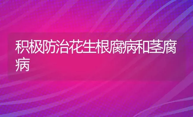 积极防治花生根腐病和茎腐病 | 养殖技术大全