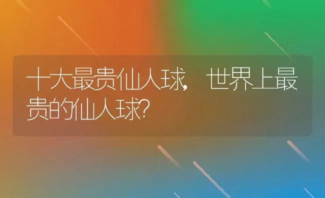 十大最贵仙人球,世界上最贵的仙人球？ | 养殖科普