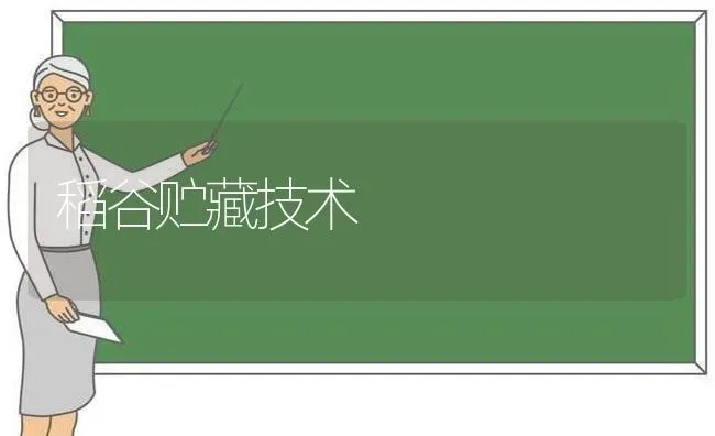 稻谷贮藏技术 | 养殖知识