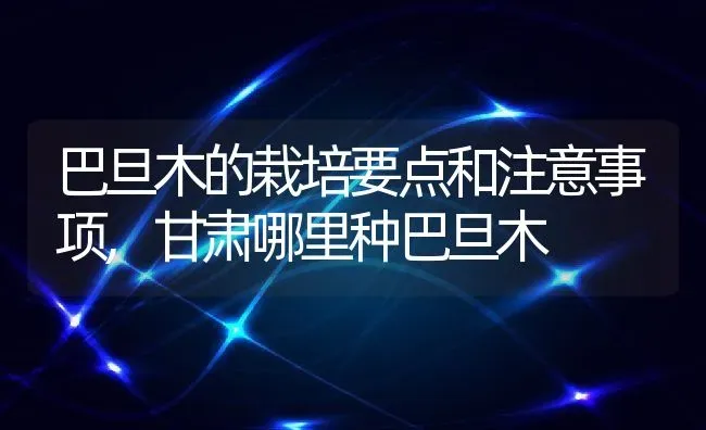 巴旦木的栽培要点和注意事项,甘肃哪里种巴旦木 | 养殖学堂