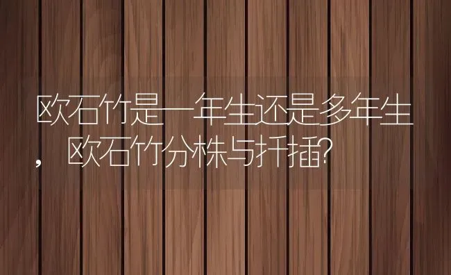 欧石竹是一年生还是多年生,欧石竹分株与扦插？ | 养殖科普