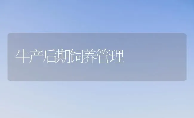 牛产后期饲养管理 | 养殖技术大全