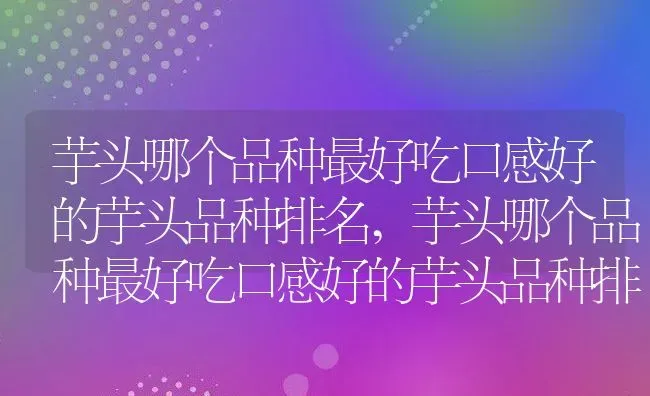 芋头哪个品种最好吃口感好的芋头品种排名,芋头哪个品种最好吃口感好的芋头品种排名 | 养殖科普