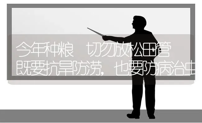 今年种粮 切勿放松田管 既要抗旱防涝,也要防病治虫 | 养殖技术大全