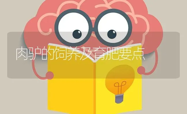 肉驴的饲养及育肥要点 | 养殖技术大全
