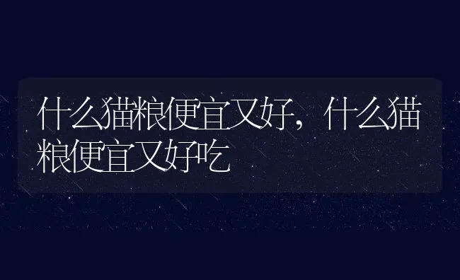 什么猫粮便宜又好,什么猫粮便宜又好吃 | 养殖科普