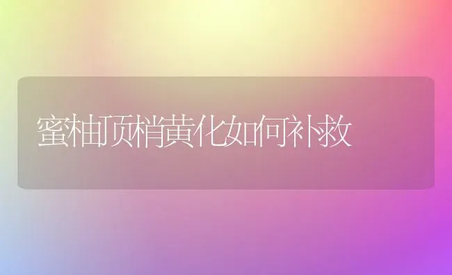 蜜柚顶梢黄化如何补救 | 养殖知识