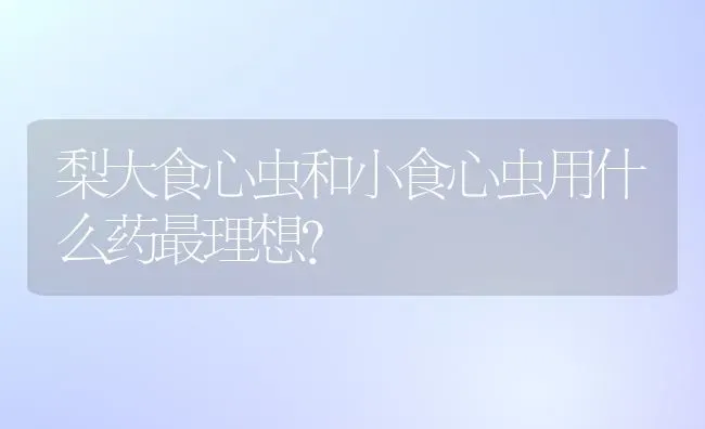 梨大食心虫和小食心虫用什么药最理想? | 养殖知识