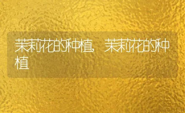 茉莉花的种植,茉莉花的种植 | 养殖科普