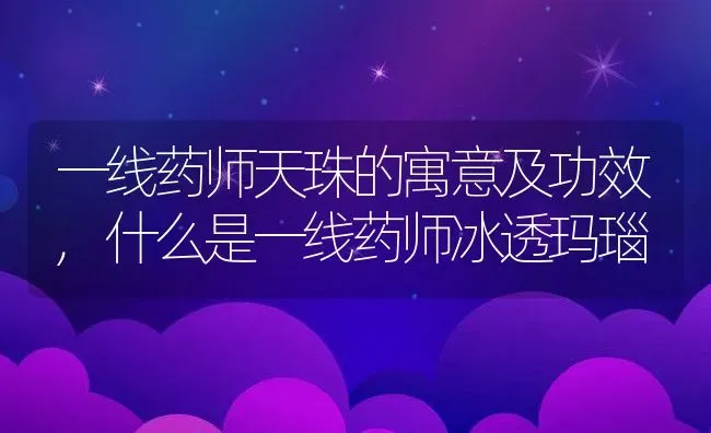 一线药师天珠的寓意及功效,什么是一线药师冰透玛瑙 | 养殖学堂