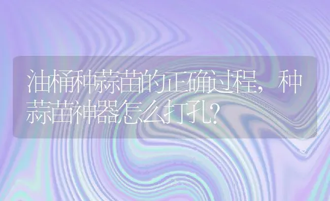 油桶种蒜苗的正确过程,种蒜苗神器怎么打孔？ | 养殖科普