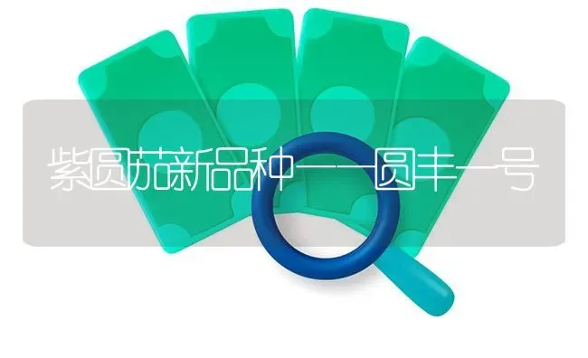紫圆茄新品种——圆丰一号 | 养殖技术大全