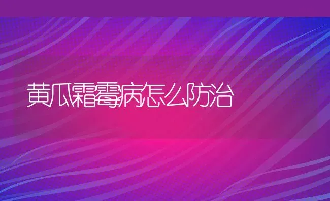 黑柿木是什么木材产地是哪里的,黑柿木是什么木材产地是哪里的 | 养殖科普