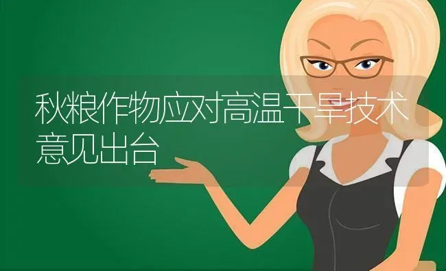 秋粮作物应对高温干旱技术意见出台 | 养殖技术大全