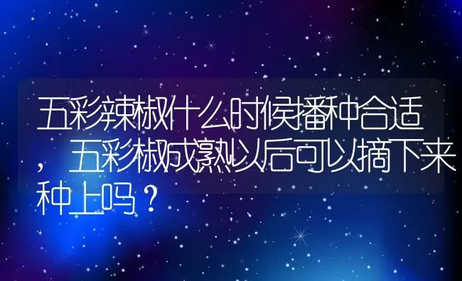 五彩辣椒什么时候播种合适,五彩椒成熟以后可以摘下来种上吗？ | 养殖科普