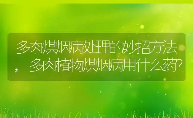 多肉煤烟病处理的妙招方法,多肉植物煤烟病用什么药？ | 养殖科普