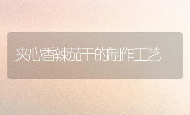 夹心香辣茄干的制作工艺 | 养殖技术大全