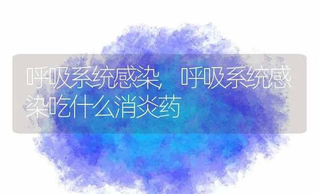 呼吸系统感染,呼吸系统感染吃什么消炎药 | 养殖资料