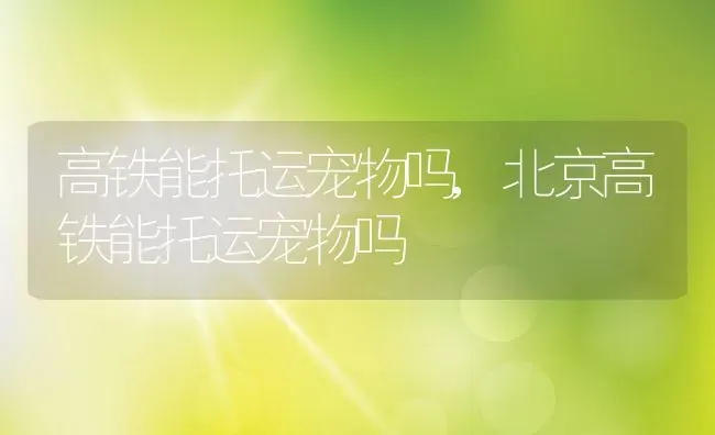 高铁能托运宠物吗,北京高铁能托运宠物吗 | 养殖资料