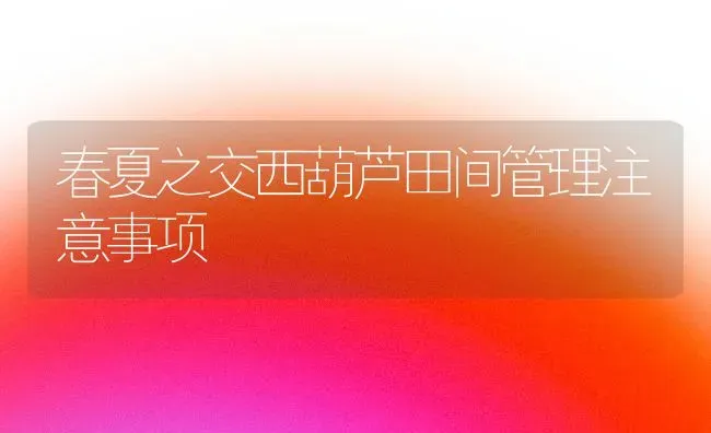 春夏之交西葫芦田间管理注意事项 | 养殖技术大全