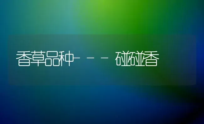 农作物药害的补救措施 | 养殖技术大全