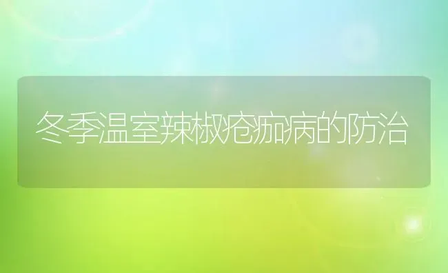 冬季温室辣椒疮痂病的防治 | 养殖技术大全