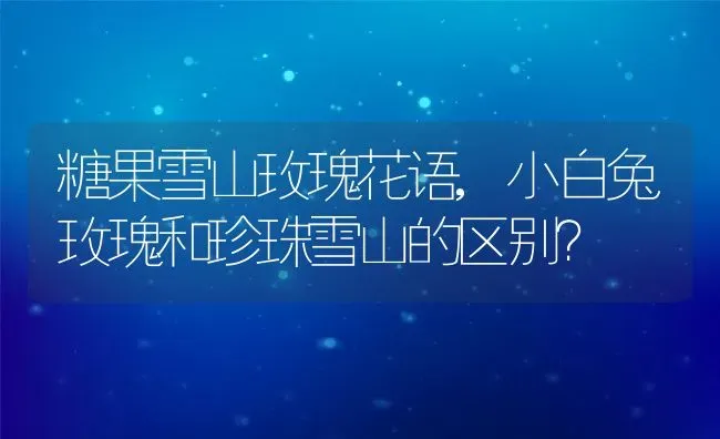 糖果雪山玫瑰花语,小白兔玫瑰和珍珠雪山的区别？ | 养殖科普