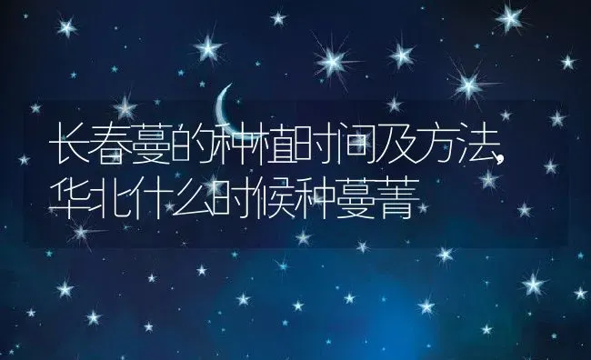 长春蔓的种植时间及方法,华北什么时候种蔓菁 | 养殖学堂