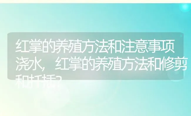 红掌的养殖方法和注意事项浇水,红掌的养殖方法和修剪和扦插？ | 养殖科普