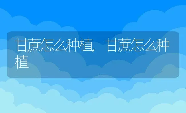 甘蔗怎么种植,甘蔗怎么种植 | 养殖科普