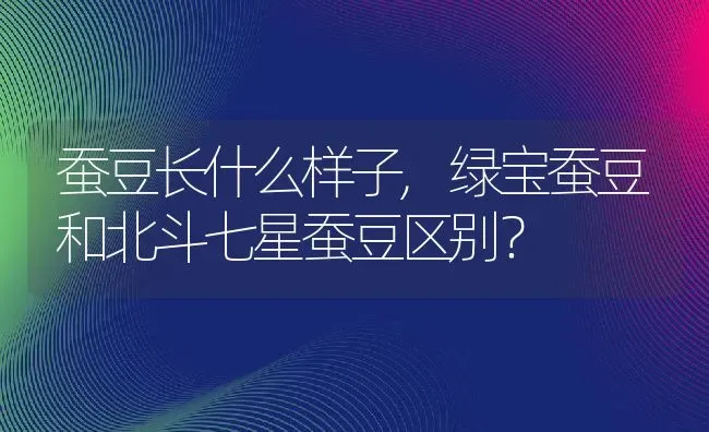 蔓马缨丹的养殖方法,蔓马缨丹的养殖方法？ | 养殖科普