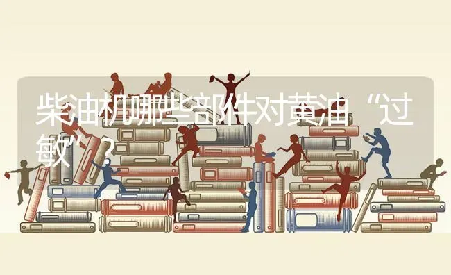 柴油机哪些部件对黄油“过敏”? | 养殖知识