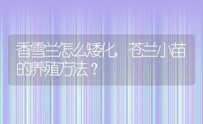 香雪兰怎么矮化,苍兰小苗的养殖方法？ | 养殖科普