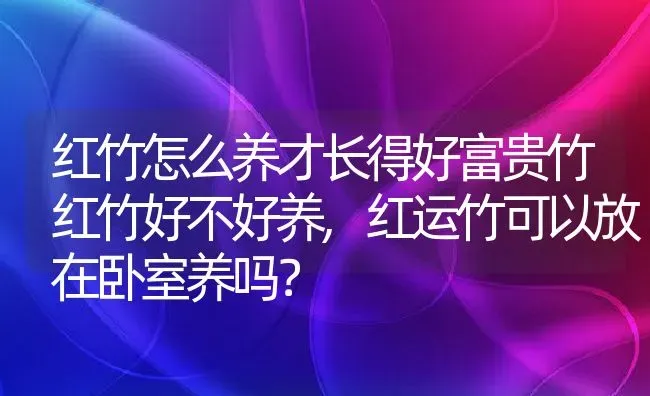 红竹怎么养才长得好富贵竹红竹好不好养,红运竹可以放在卧室养吗？ | 养殖科普