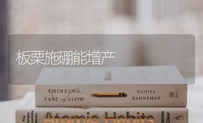 板栗施硼能增产 | 养殖技术大全