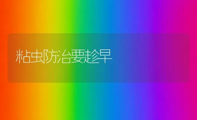 粘虫防治要趁早 | 养殖知识