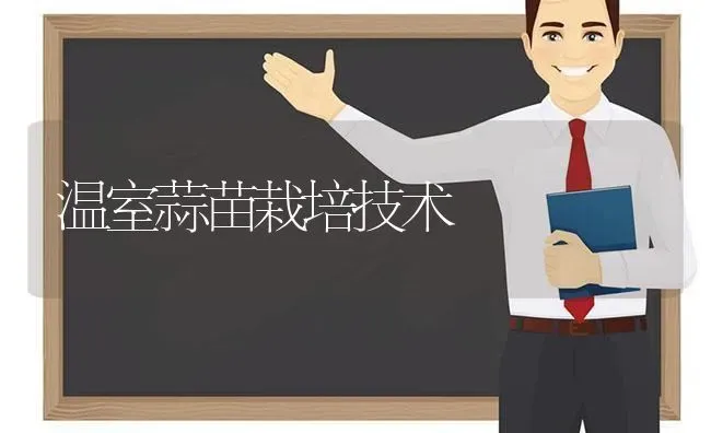 温室蒜苗栽培技术 | 养殖知识