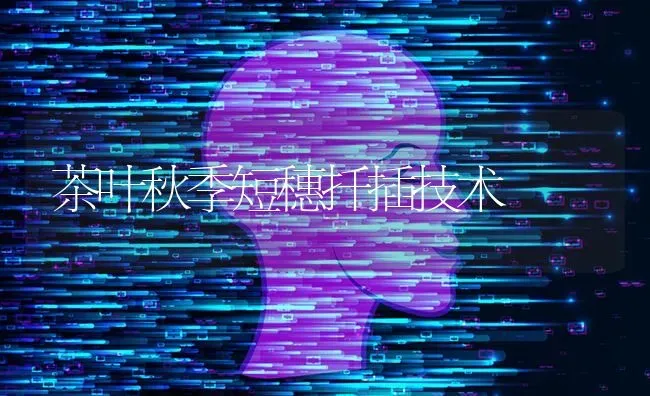 茶叶秋季短穗扦插技术 | 养殖知识