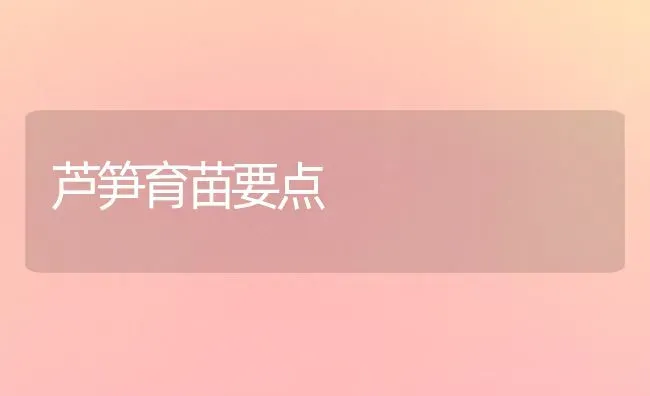 芦笋育苗要点 | 养殖知识