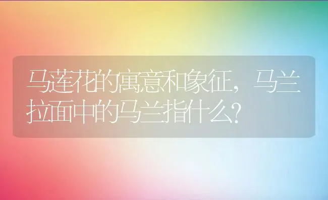 马莲花的寓意和象征,马兰拉面中的马兰指什么？ | 养殖科普