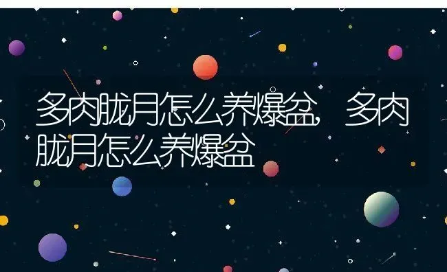 多肉胧月怎么养爆盆,多肉胧月怎么养爆盆 | 养殖科普