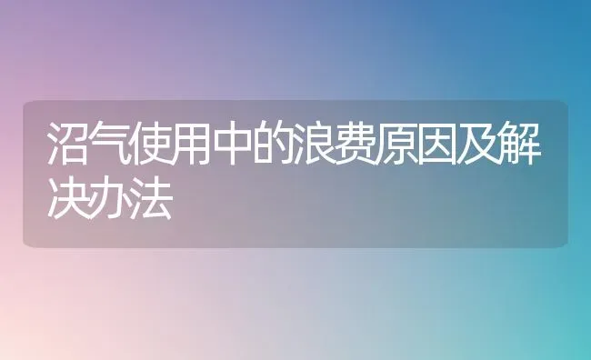 沼气使用中的浪费原因及解决办法 | 养殖知识