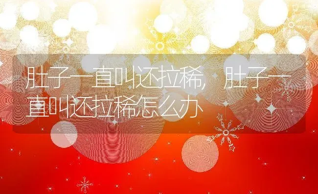 肚子一直叫还拉稀,肚子一直叫还拉稀怎么办 | 养殖资料